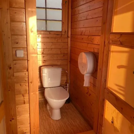 Mini *